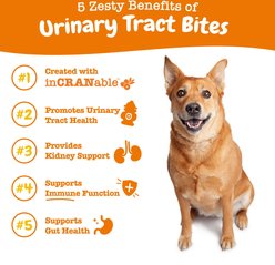 Zesty Paws Urinary Tract Bites Bacon Flavored Soft Chews Cranberry Bladder Kidney Supplement for Dogs, 90 count slide 2 of 6