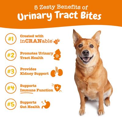 Show full view: Zesty Paws Urinary Tract Bites Bacon Flavored Soft Chews Cranberry Bladder Kidney Supplement for Dogs, 90 count slide 3 of 9