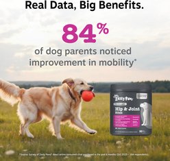 Zesty Paws Vet Strength Hip & Joint Soft Chews Glucosamine Mobility Supplement for Dogs, 90 count slide 2 of 8