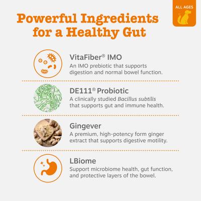 Show full view: Zesty Paws Vet Strength Pre, Post, & Probiotic Soft Chews Gut Flora & Digestive Supplement for Dogs, 90 count slide 4 of 13