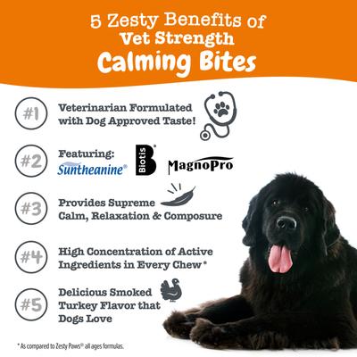Show full view: Zesty Paws Vet Strength Turkey Flavored Chew Calming Supplement for Dogs, 90 count slide 3 of 11