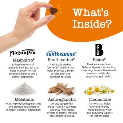 Show full view: Zesty Paws Vet Strength Turkey Flavored Chew Calming Supplement for Dogs, 90 count slide 5 of 11