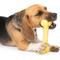 Show in main carousel: Zeus Duo Bone Dog Toy, 7-in, Yellow slide 4 of 5