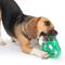 Show in main carousel: Zeus Duo Ninja Star Dog Toy, 5-in, Green slide 4 of 5