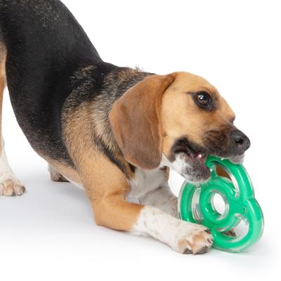 Show full view: Zeus Duo Ninja Star Dog Toy, 5-in, Green slide 4 of 5