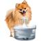 Show in main carousel: Zeus Fresh & Clear Waterfall Spout Dog Fountain + Filters, 2 count slide 3 of 7