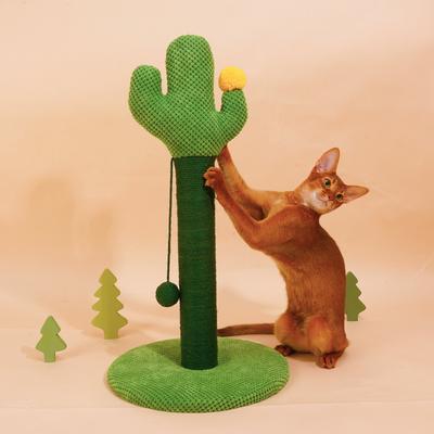 Show full view: ZEZE Desert Cactus Woven Rope Cat Scratcher slide 4 of 9