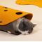 Show in main carousel: ZEZE "The Cheese" Adjustable Tunnel Cat Toy slide 4 of 8