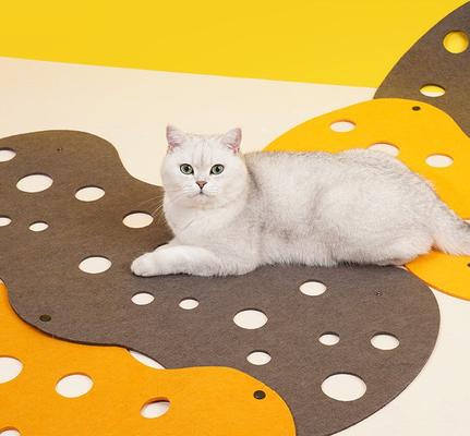 Show full view: ZEZE "The Cheese" Adjustable Tunnel Cat Toy slide 6 of 8