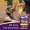 Show in main carousel: Zignature Goat Limited Ingredient Formula Canned Dog Food, 13-oz, case of 12 slide 7 of 11