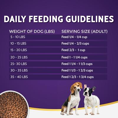 Show full view: Zignature Kangaroo Formula Small Bites Dry Dog Food, 12.5-lb bag slide 6 of 10