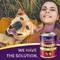Show in main carousel: Zignature Lamb Limited Ingredient Formula Canned Dog Food, 13-oz, case of 12 slide 7 of 11