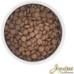 Show in main carousel: Zignature Lamb Limited Ingredient Formula Dry Dog Food, 25-lb bag slide 5 of 11