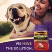 Show in main carousel: Zignature Lamb Limited Ingredient Formula Dry Dog Food, 25-lb bag slide 6 of 11