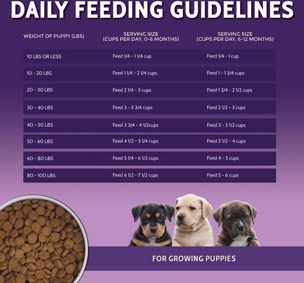 Show full view: Zignature Puppy Formula Dry Dog Food, 25-lb bag slide 7 of 9