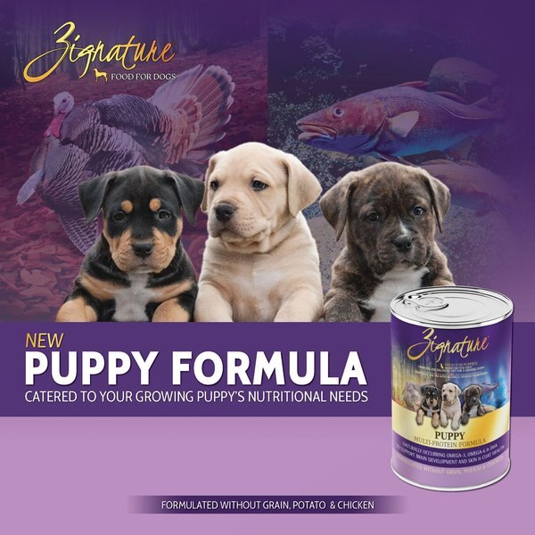 Zignature Puppy Formula Pate Canned Wet Dog Food, 13-oz can, 12 count
