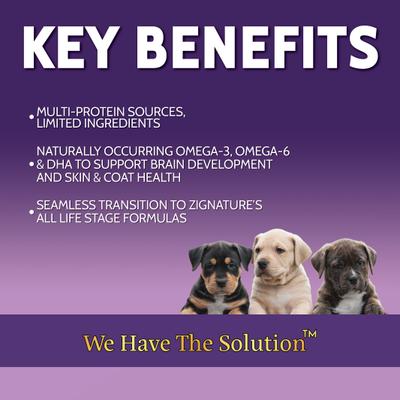 Show full view: Zignature Puppy Formula Pate Canned Wet Dog Food, 13-oz can, 12 count slide 4 of 9