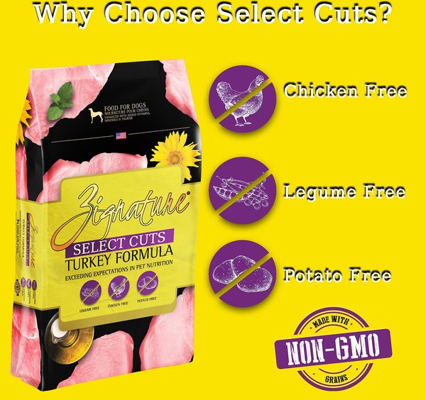 Back to Basics Turkey Formula Dry Dog Food