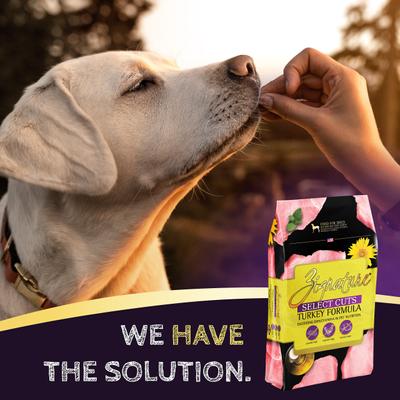 Show full view: Zignature Select Cuts Turkey Formula Dry Dog Food, 4-lb bag slide 6 of 9