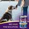 Show in main carousel: Zignature Trout & Salmon Limited Ingredient Formula Canned Dog Food, 13-oz, case of 12 slide 7 of 11
