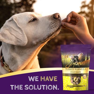 Show full view: Zignature Turkey Formula Ziggy Bars Biscuit Dog Treats, 12-oz bag slide 7 of 8