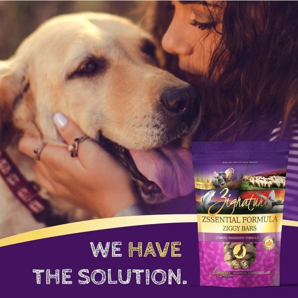 Zignature Grain-Free Guinea Fowl Formula Ziggy Bars Biscuit Dog Treats