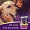 Show in main carousel: Zignature Zssential Multi-Protein Formula Canned Dog Food, 13-oz, case of 12 slide 7 of 11