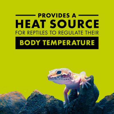 Show full view: Zilla Day Blue Reptile Basking Bulb, 50-watt slide 2 of 10