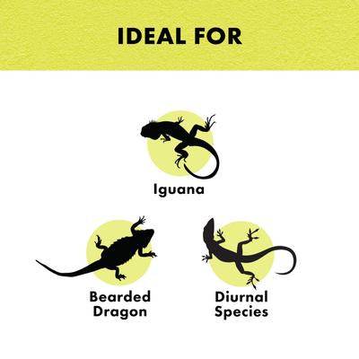 Show full view: Zilla Day White Reptile Basking Bulb, 75-watt slide 3 of 10