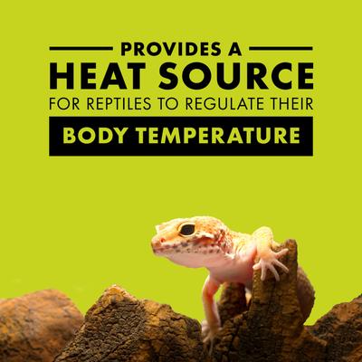 Show full view: Zilla Day White Reptile Basking Bulb, 75-watt slide 2 of 10