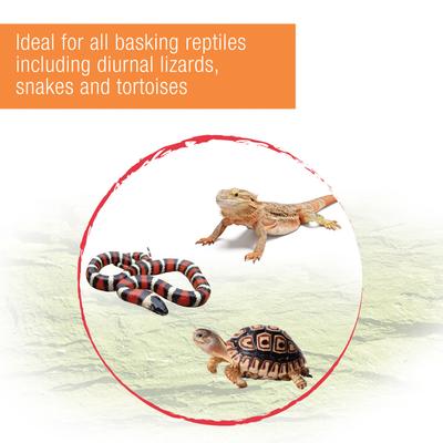 Show full view: Zilla Heat Reptile Heat Projector, 50 Watt slide 4 of 8