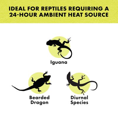 Show full view: Zilla Night Black Reptile Basking Bulb, 50-watt slide 3 of 9