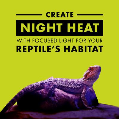 Show full view: Zilla Night Black Reptile Basking Bulb, 50-watt slide 2 of 9