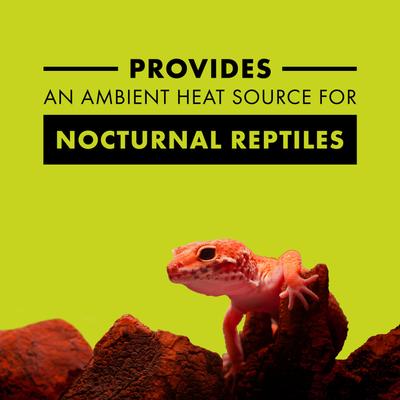 Show full view: Zilla Night Red Reptile Basking Bulb, 150-watt slide 2 of 9