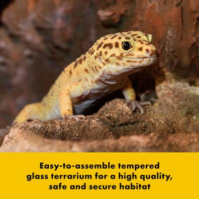 Show full view: Zilla QuickBuild Terrarium, Black, 30-in 20-gal slide 4 of 13