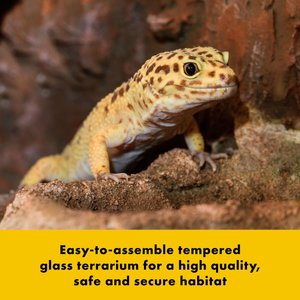 Zilla QuickBuild Terrarium with Easy Clean Bedding Tray, Black, 20-in