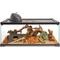Show in main carousel: Zilla QuickBuild Terrarium with Easy Clean Bedding Tray, Black, 30-in slide 2 of 10