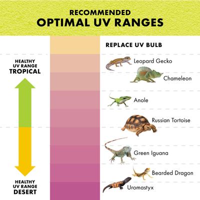 Show full view: Zilla Rapid Sense Crocodile Skull Reptile Deicer, Tan, Large slide 6 of 11