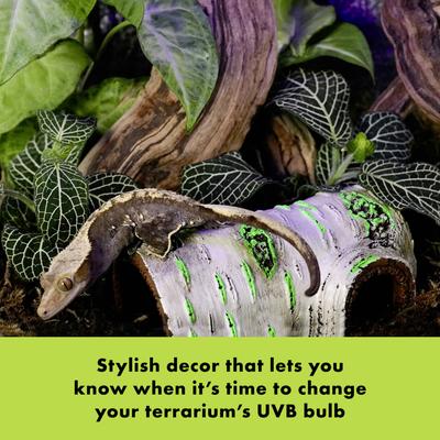 Show full view: Zilla Rapid Sense Decor Poplar Log Reptile Deicer, Tan, Medium slide 3 of 11