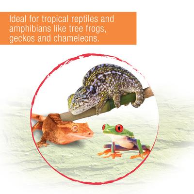 Show full view: Zilla Spring Cave Decor with Blue LED Rain Chamber, One Size slide 9 of 11