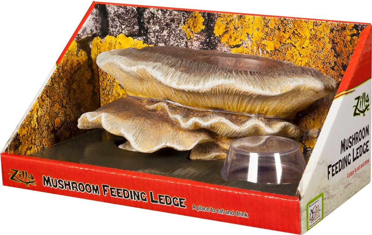 Zilla Vertical Decor Mushroom Feeding Ledge