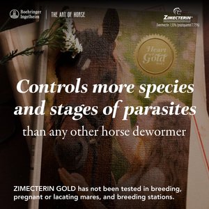 Zimecterin Gold Ivermectin & Praziquantel Paste Horse Dewormer, 0.26-oz syringe, 1 count