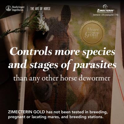 Show full view: Zimecterin Gold Ivermectin & Praziquantel Paste Horse Dewormer, 0.26-oz syringe, 1 count slide 3 of 9