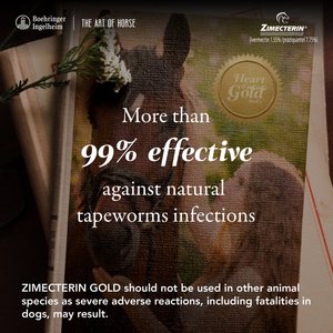Zimecterin Gold Ivermectin & Praziquantel Paste Horse Dewormer, 0.26-oz syringe, 1 count