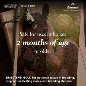 Zimecterin Gold Ivermectin & Praziquantel Paste Horse Dewormer, 0.26-oz syringe, 1 count
