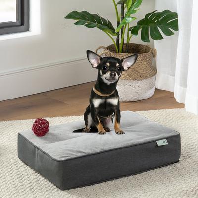 Show full view: Zinus UltraPlush Green Tea Dog Bed, Grey, 5-in, Small, 1 slide 3 of 9