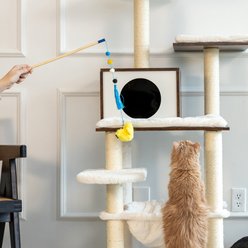 ZippyClaws ZippyStick Bird Cat Teasers Wands slide 2 of 4