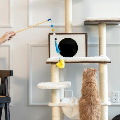 Show full view: ZippyClaws ZippyStick Bird Cat Teasers Wands slide 4 of 4