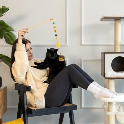 Show full view: ZippyClaws ZippyStick Hedgehog Cat Teasers Wands slide 4 of 4