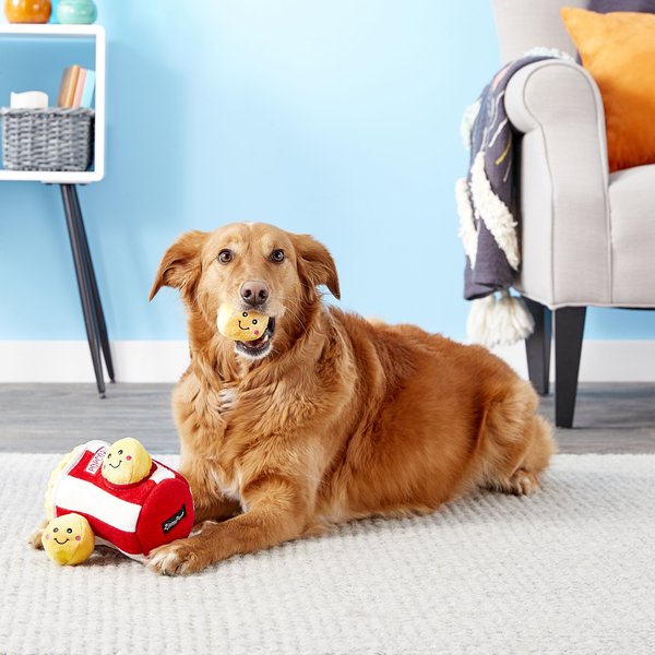 ZippyPaws Hide an Egg Burrow Bunny Dog Toy